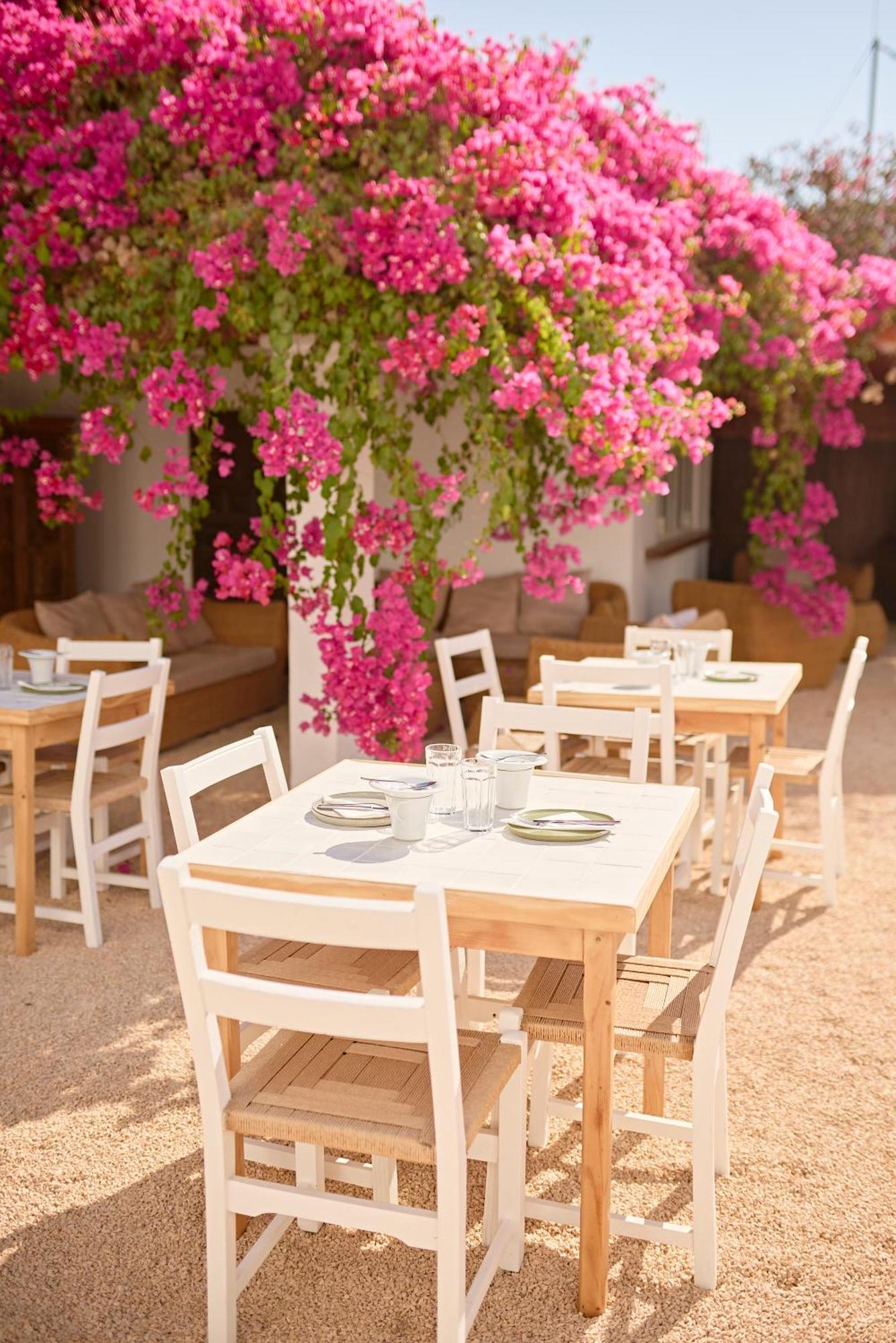 Ibara Ibiza Hotel Boutique Es Cana Εξωτερικό φωτογραφία