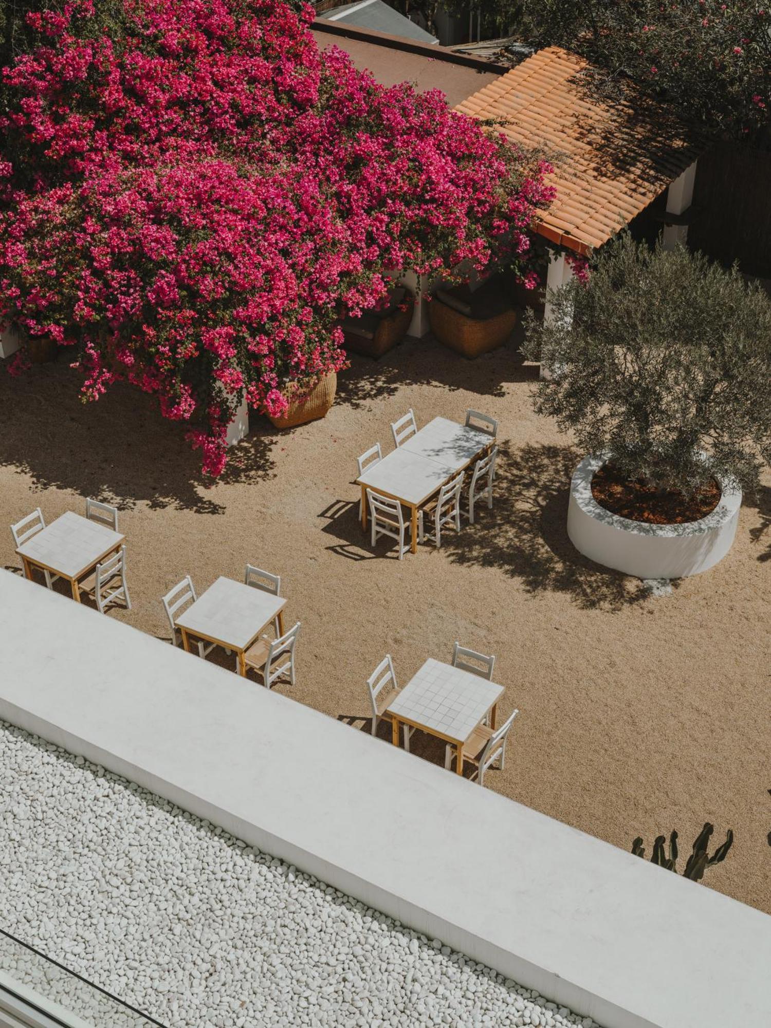 Ibara Ibiza Hotel Boutique Es Cana Εξωτερικό φωτογραφία